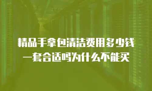 精品手拿包清洁费用多少钱一套合适吗为什么不能买