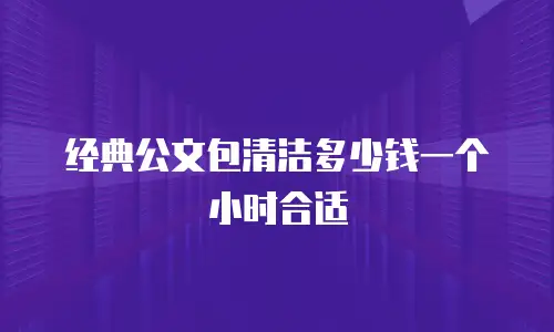 经典公文包清洁多少钱一个小时合适