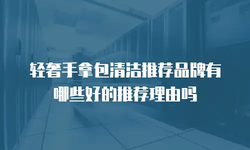 轻奢手拿包清洁推荐品牌有哪些好的推荐理由吗