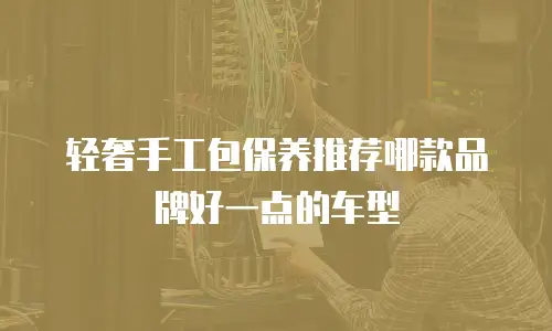 轻奢手工包保养推荐哪款品牌好一点的车型