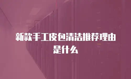 新款手工皮包清洁推荐理由是什么