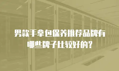 男款手拿包保养推荐品牌有哪些牌子比较好的？