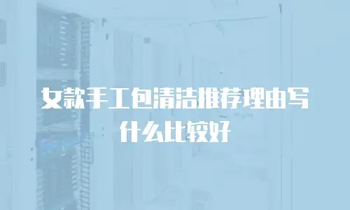 女款手工包清洁推荐理由写什么比较好