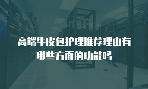 高端牛皮包护理推荐理由有哪些方面的功能吗