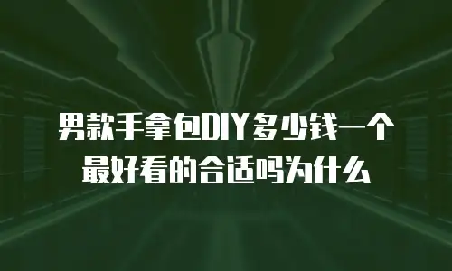 男款手拿包DIY多少钱一个最好看的合适吗为什么