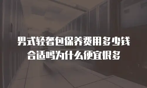 男式轻奢包保养费用多少钱合适吗为什么便宜很多