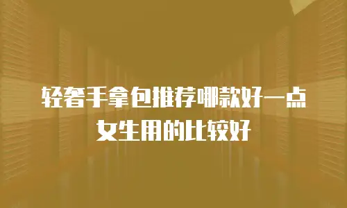 轻奢手拿包推荐哪款好一点女生用的比较好