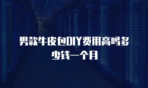 男款牛皮包DIY费用高吗多少钱一个月
