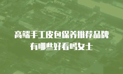 高端手工皮包保养推荐品牌有哪些好看吗女士