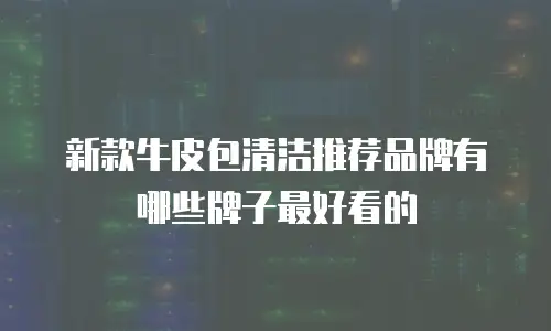 新款牛皮包清洁推荐品牌有哪些牌子最好看的
