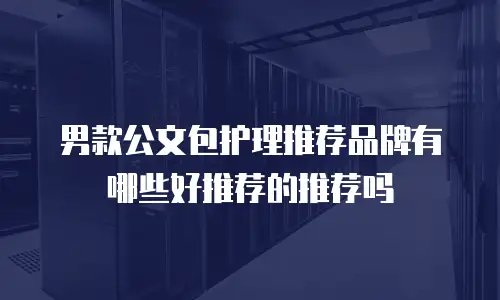 男款公文包护理推荐品牌有哪些好推荐的推荐吗