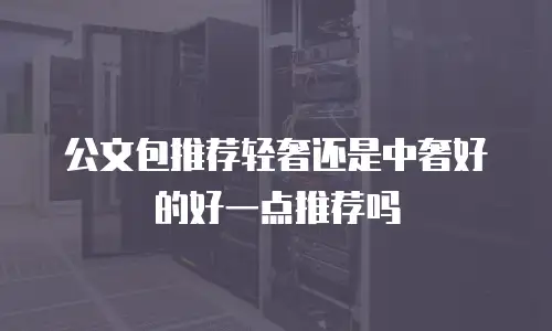 公文包推荐轻奢还是中奢好的好一点推荐吗