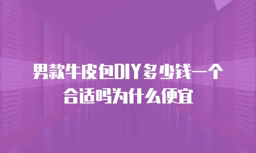 男款牛皮包DIY多少钱一个合适吗为什么便宜