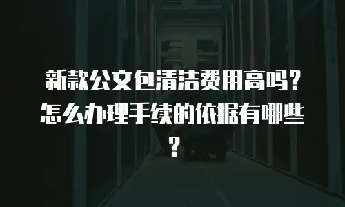 新款公文包清洁费用高吗？怎么办理手续的依据有哪些？