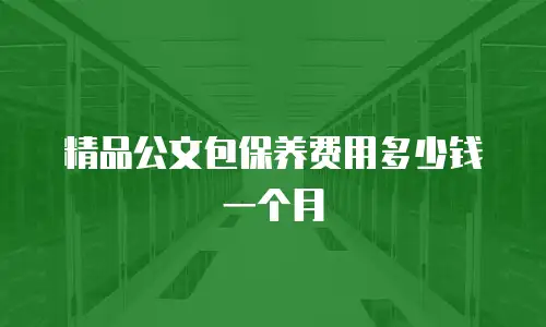 精品公文包保养费用多少钱一个月