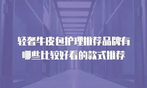 轻奢牛皮包护理推荐品牌有哪些比较好看的款式推荐