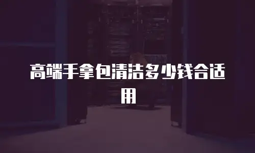 高端手拿包清洁多少钱合适用