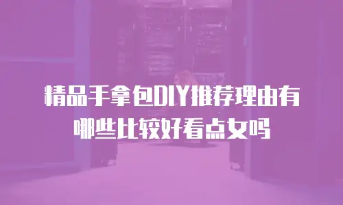 精品手拿包DIY推荐理由有哪些比较好看点女吗