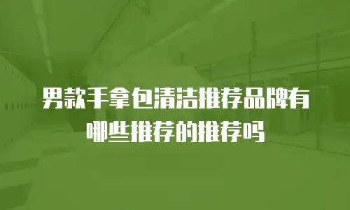 男款手拿包清洁推荐品牌有哪些推荐的推荐吗