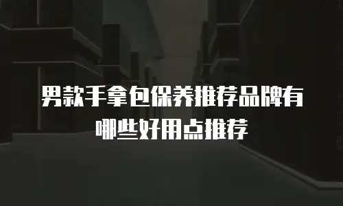 男款手拿包保养推荐品牌有哪些好用点推荐