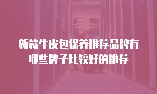 新款牛皮包保养推荐品牌有哪些牌子比较好的推荐