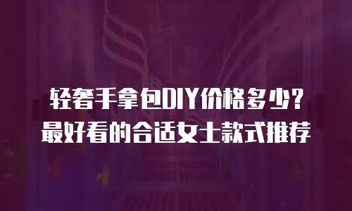 轻奢手拿包DIY价格多少？最好看的合适女士款式推荐