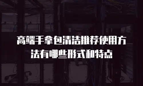 高端手拿包清洁推荐使用方法有哪些形式和特点