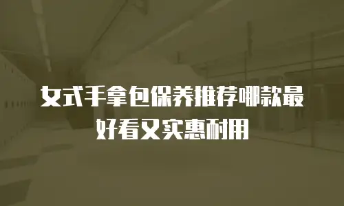 女式手拿包保养推荐哪款最好看又实惠耐用
