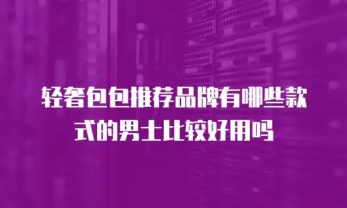 轻奢包包推荐品牌有哪些款式的男士比较好用吗