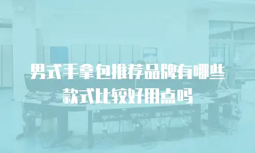 男式手拿包推荐品牌有哪些款式比较好用点吗