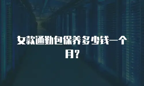 女款通勤包保养多少钱一个月？