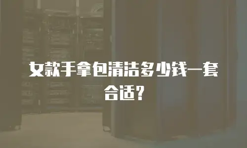 女款手拿包清洁多少钱一套合适？