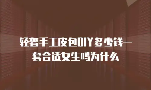 轻奢手工皮包DIY多少钱一套合适女生吗为什么