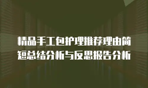 精品手工包护理推荐理由简短总结分析与反思报告分析