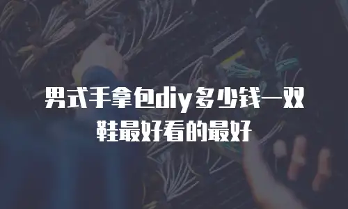 男式手拿包diy多少钱一双鞋最好看的最好