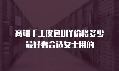 高端手工皮包DIY价格多少最好看合适女士用的