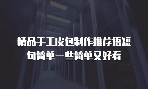 精品手工皮包制作推荐语短句简单一些简单又好看