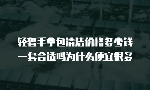轻奢手拿包清洁价格多少钱一套合适吗为什么便宜很多