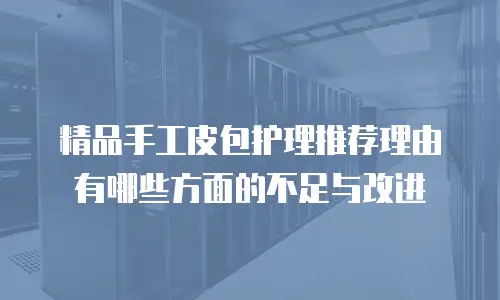 精品手工皮包护理推荐理由有哪些方面的不足与改进