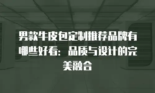 男款牛皮包定制推荐品牌有哪些好看：品质与设计的完美融合