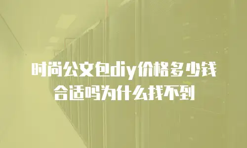 时尚公文包diy价格多少钱合适吗为什么找不到