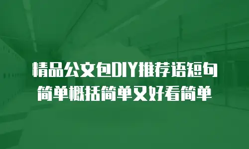 精品公文包DIY推荐语短句简单概括简单又好看简单