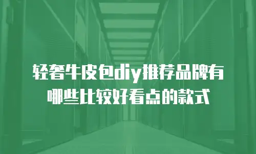 轻奢牛皮包diy推荐品牌有哪些比较好看点的款式