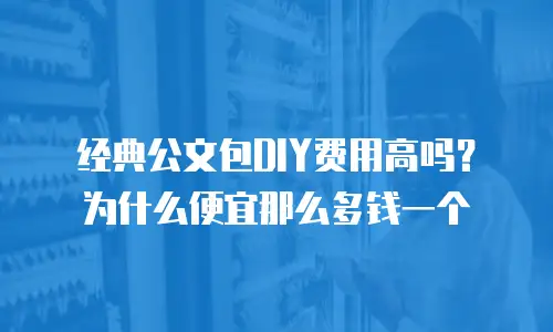 经典公文包DIY费用高吗？为什么便宜那么多钱一个