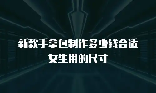 新款手拿包制作多少钱合适女生用的尺寸
