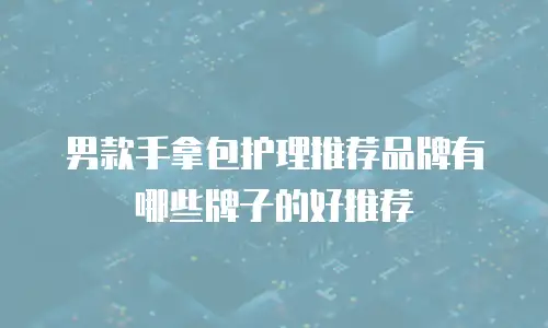 男款手拿包护理推荐品牌有哪些牌子的好推荐