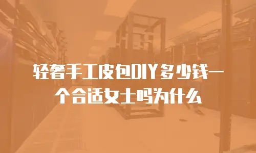轻奢手工皮包DIY多少钱一个合适女士吗为什么