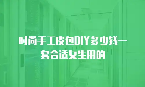 时尚手工皮包DIY多少钱一套合适女生用的