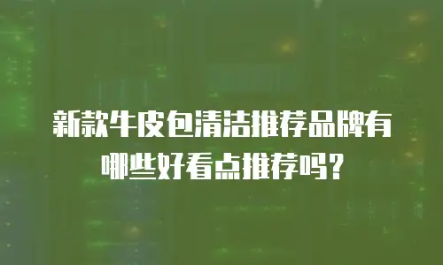 新款牛皮包清洁推荐品牌有哪些好看点推荐吗？