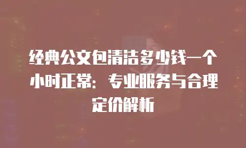经典公文包清洁多少钱一个小时正常：专业服务与合理定价解析